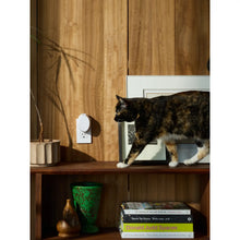 Load image into Gallery viewer, Pura Mini For Home
