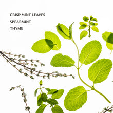 Load image into Gallery viewer, Frosted Mint Power Mist Hydrating Hand Sanitizer