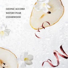 Load image into Gallery viewer, Touchland Rainwater Power Mist Hydrating Hand Sanitizer