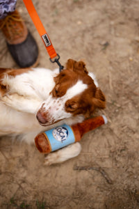 Local Boy Busch Latte Bottle Dog Toy