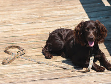 Load image into Gallery viewer, Local Boy Dog Leash in Old School Camo